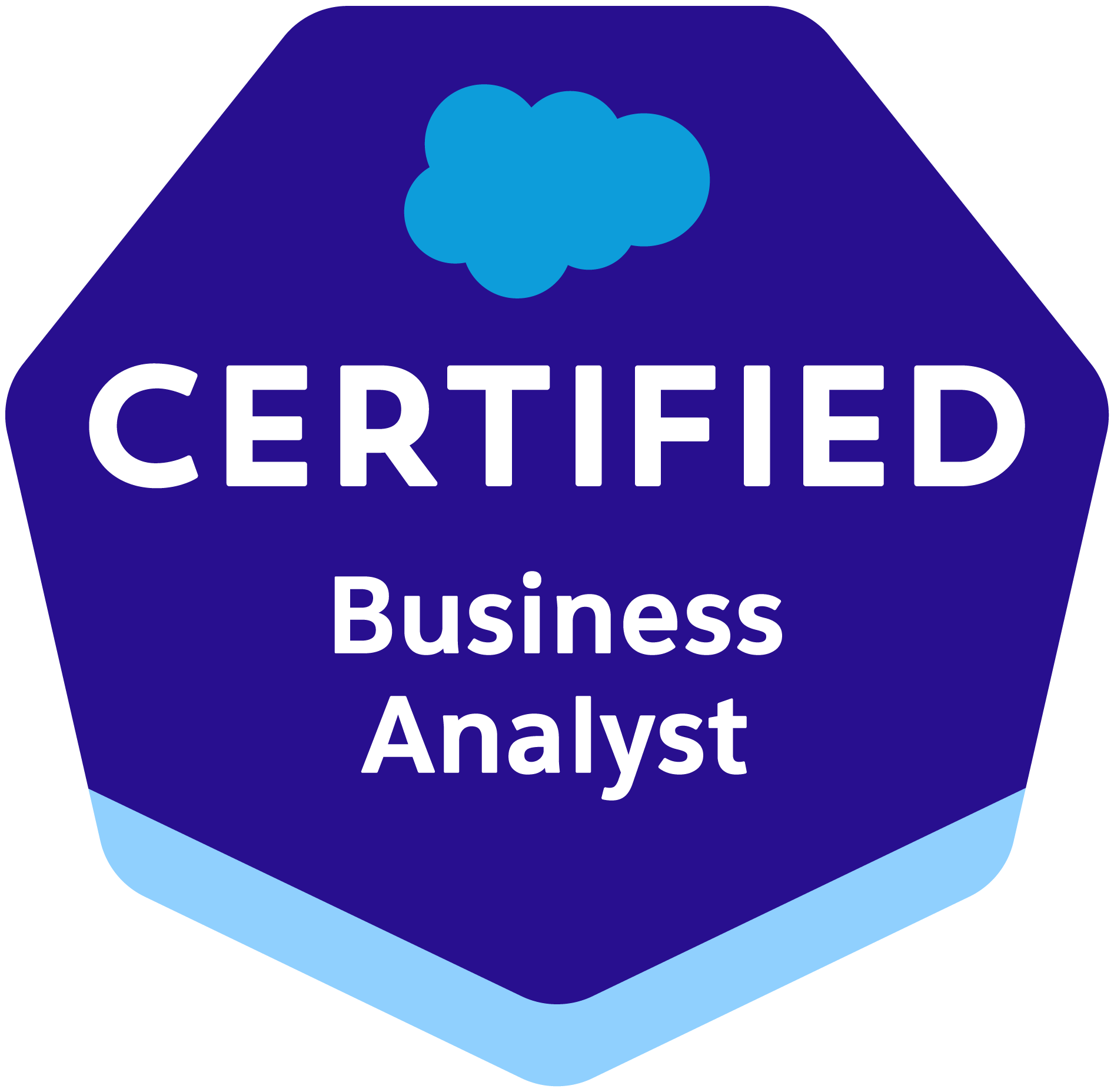 Salesforce Business Analyst
